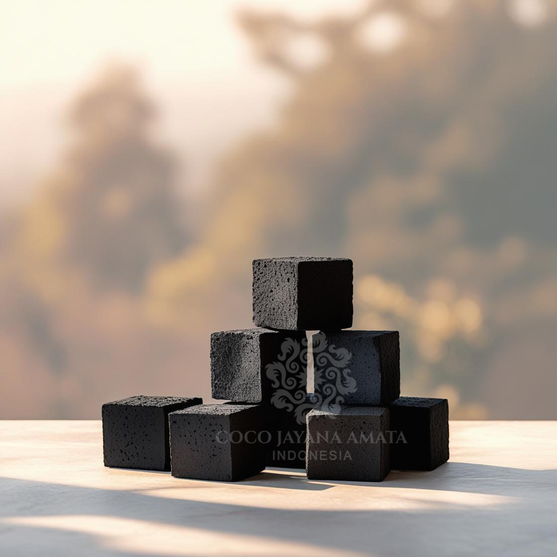 coconut charcoal briquettes