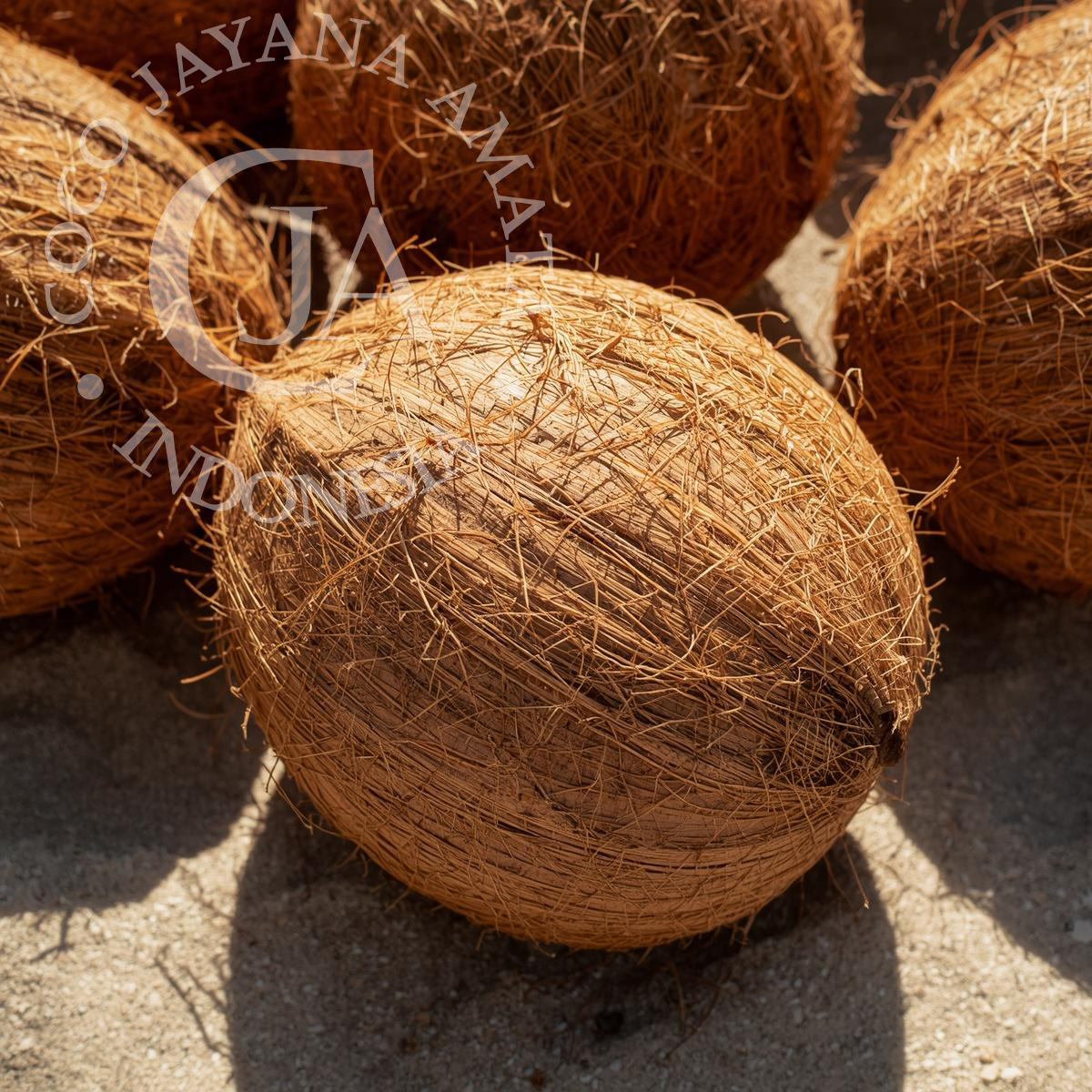coconuts